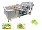 Equipo de proceso de fruta y verdura de la lavadora de la verdura de hoja sin Damanage proveedor