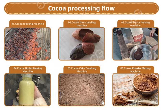 Pequeña cadena de producción del polvo de cacao