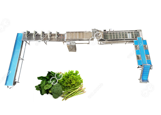 China El CE certificó la línea que se lavaba vegetal frondosa automática de acero inoxidable planta de tratamiento vegetal proveedor