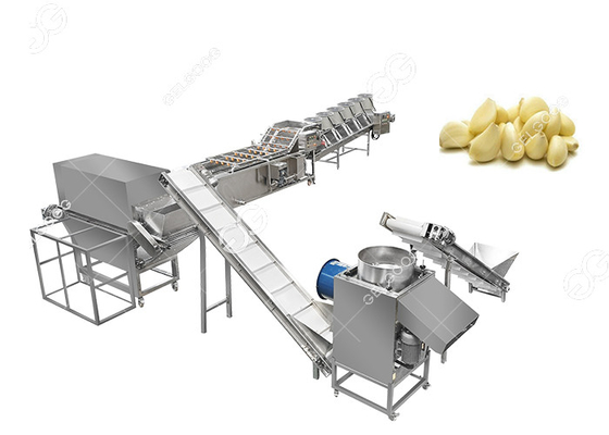 China El CE certificó el ajo comercial que se separaba pelando la cadena de producción de empaquetado proyecto de la máquina de Peeler del ajo proveedor
