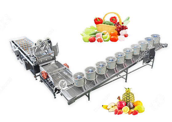 China Lavado modificado para requisitos particulares eficiente de la fruta y verdura y secado de la cadena de producción proveedor