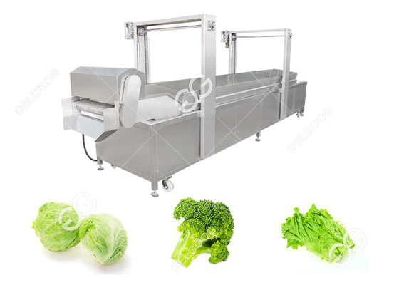 China Comida automática que precocina la verdura que blanquea y que cocina la máquina proveedor
