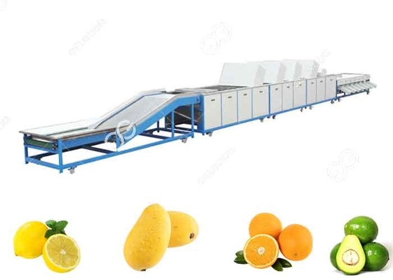 China línea del lavado de la fruta del equipo de la fruta que se lava 1t/H-5t/H para las ventas de exportación de la fruta proveedor