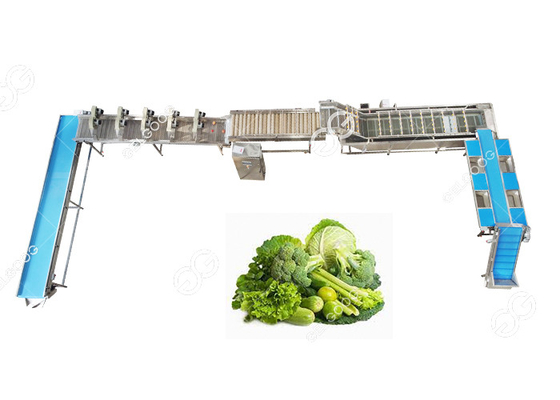 El CE certificó la línea que se lavaba vegetal frondosa automática de acero inoxidable planta de tratamiento vegetal proveedor