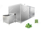 Línea de procesamiento de coliflor y brócoli congelado automático de gran oferta Línea de procesamiento de frutas y verduras proveedor