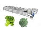 Cadena de producción de limpieza vegetal de la coliflor congelada industrial del bróculi que se lava proveedor