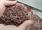 Máquina de la asación/aventadora Nuts profesionales de Peeler del cacao del acero inoxidable proveedor