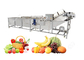 Cadena de producción completa automática del zumo de fruta para el estándar del CE de Commerical proveedor