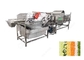 Línea de transformación vegetal comercial de la verdura del equipo del lavado de la fruta para la planta de tratamiento vegetal proveedor