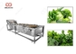 Lavadora vegetal frondosa de las hojas del verde de la lavadora 300-5000KG/H proveedor