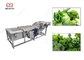 Lavadora vegetal frondosa de las hojas del verde de la lavadora 300-5000KG/H proveedor