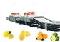 línea del lavado de la fruta del equipo de la fruta que se lava 1t/H-5t/H para las ventas de exportación de la fruta proveedor
